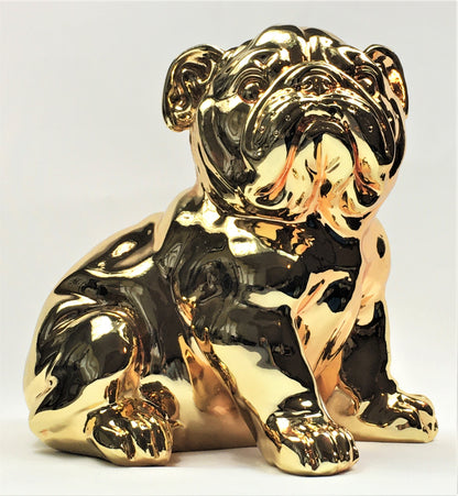 Franse Bull Dog Pup - Earkings
