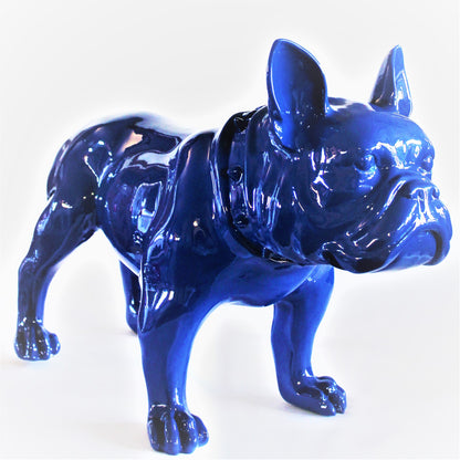 Grote Franse Bull Dog - Earkings