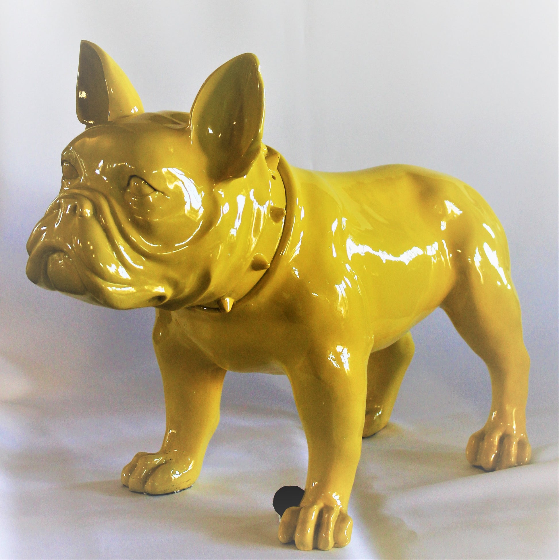 Grote Franse Bull Dog - Earkings