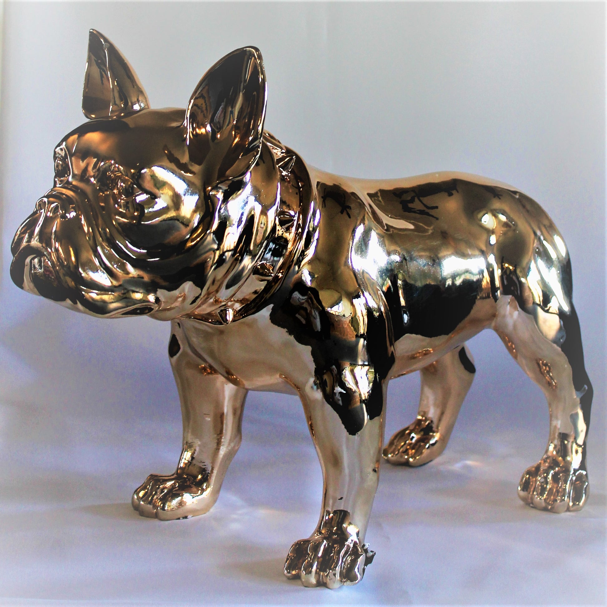 Grote Franse Bull Dog - Earkings