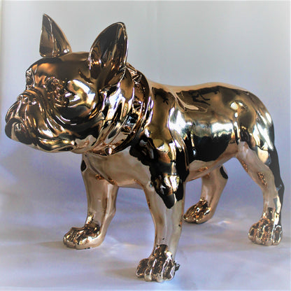 Grote Franse Bull Dog - Earkings