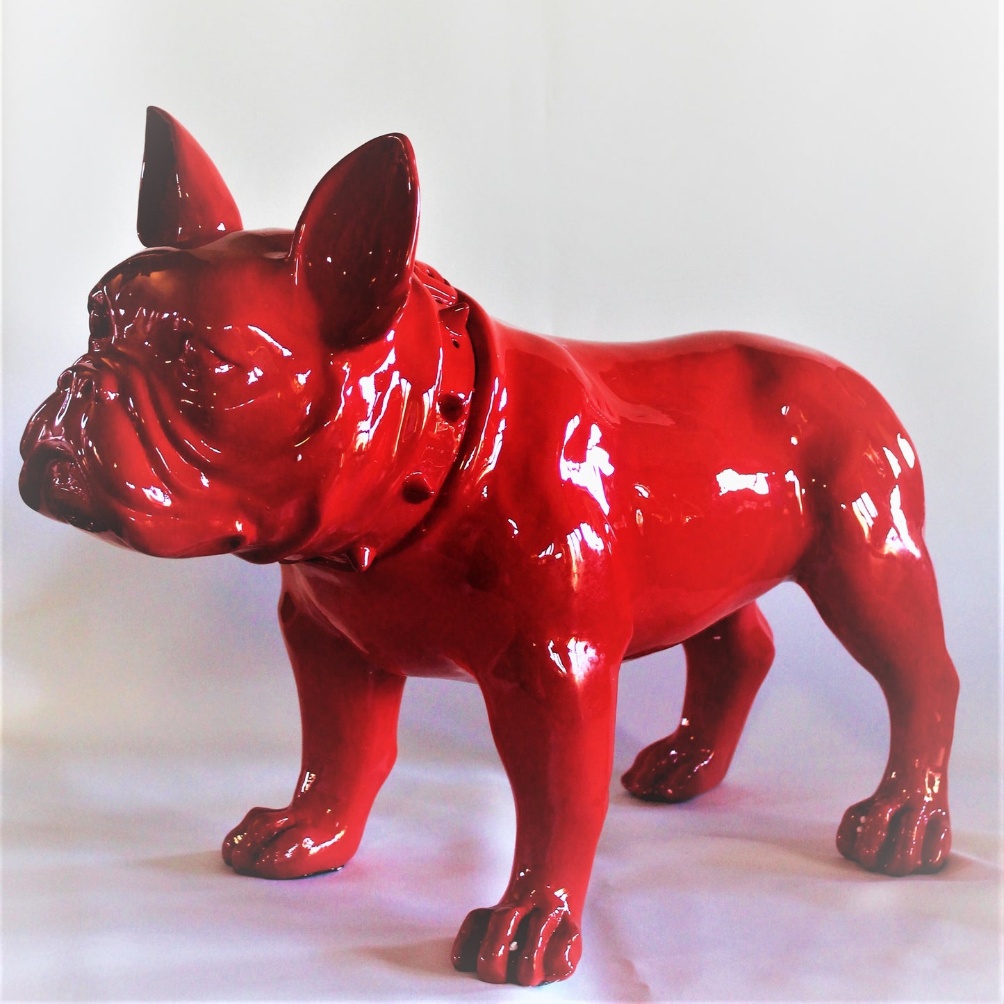 Grote Franse Bull Dog - Earkings