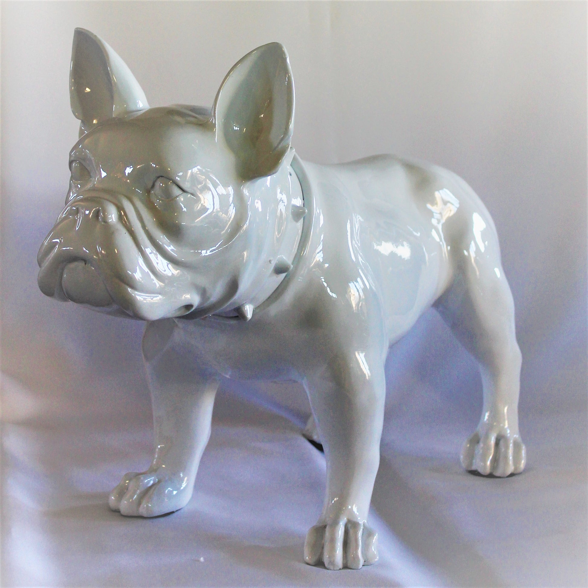Grote Franse Bull Dog - Earkings