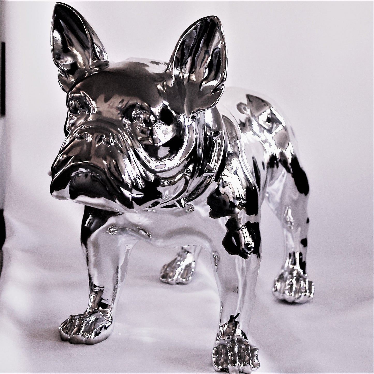 Grote Franse Bull Dog - Earkings