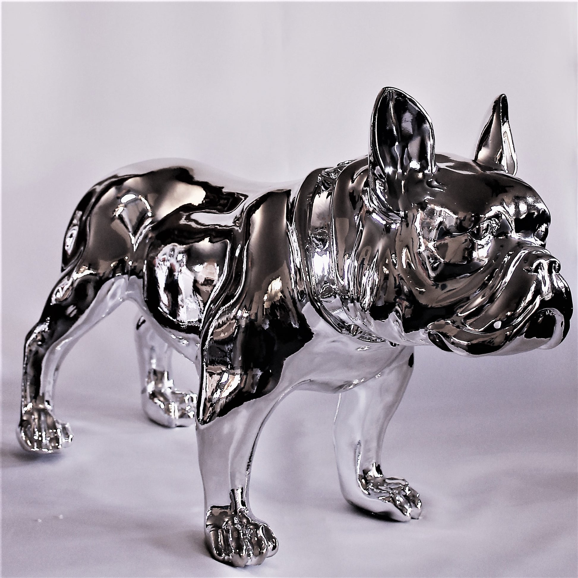 Grote Franse Bull Dog - Earkings