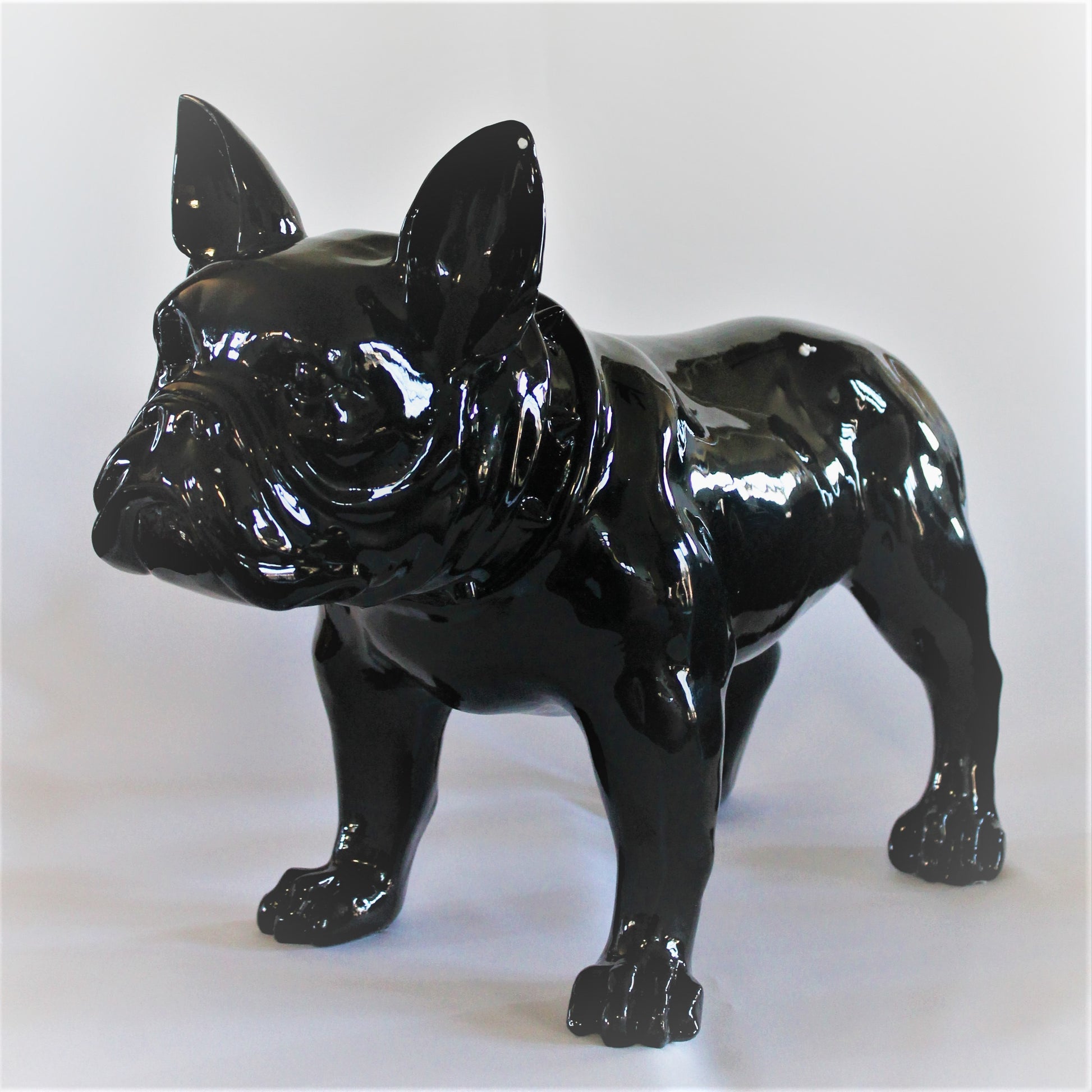Grote Franse Bull Dog - Earkings