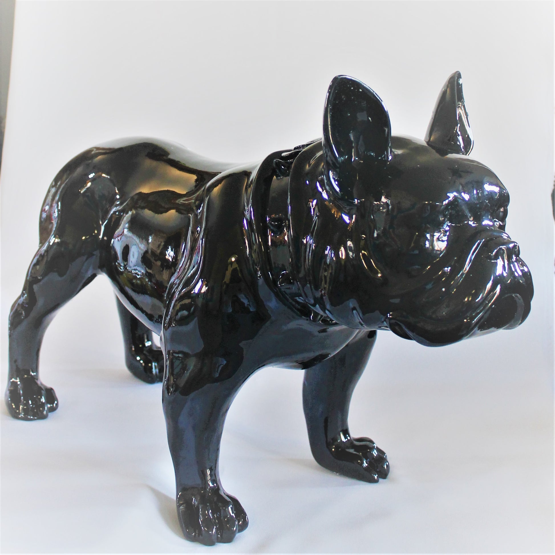 Grote Franse Bull Dog - Earkings