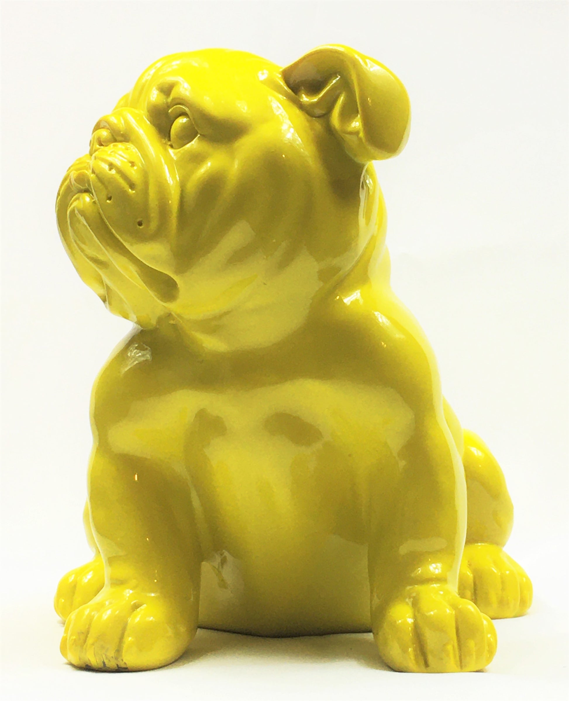 Franse Bull Dog Pup - Earkings