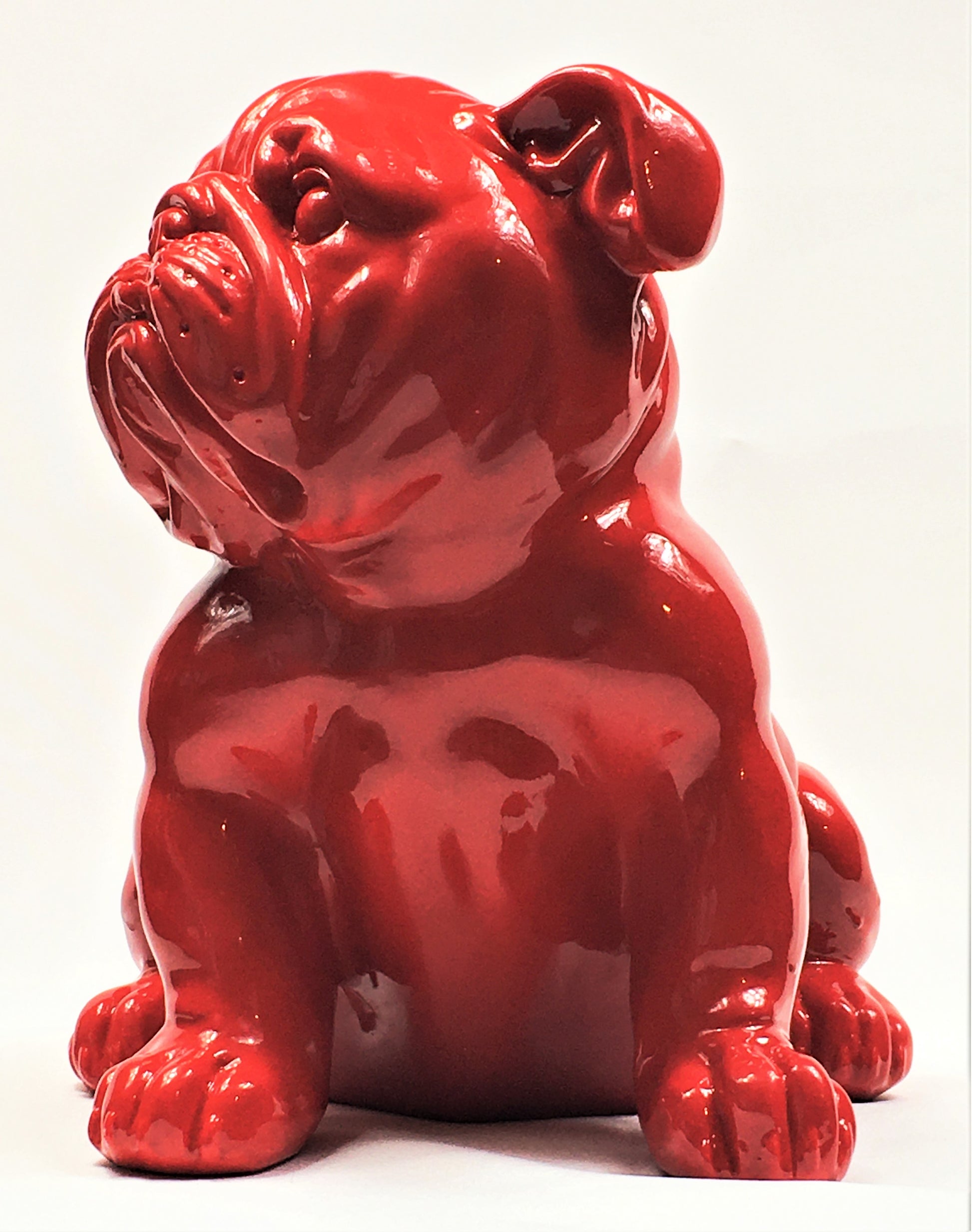 Franse Bull Dog Pup - Earkings