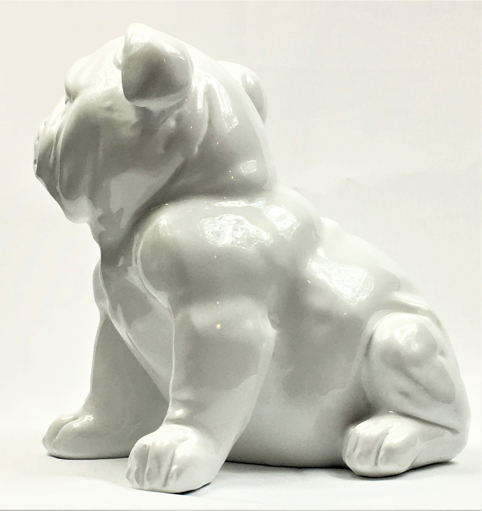 Franse Bull Dog Pup - Earkings