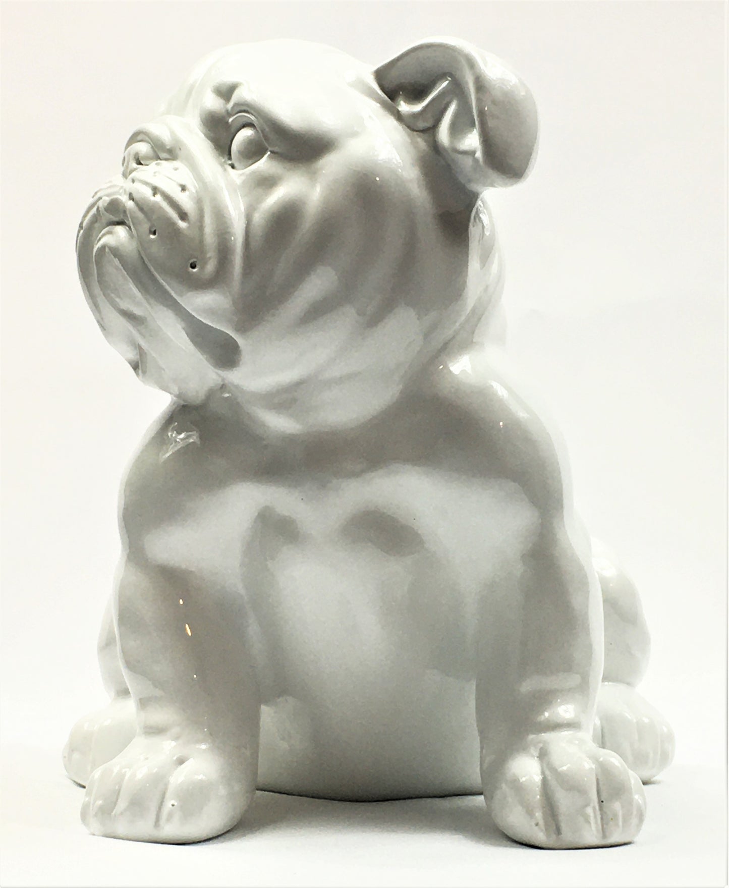 Franse Bull Dog Pup - Earkings