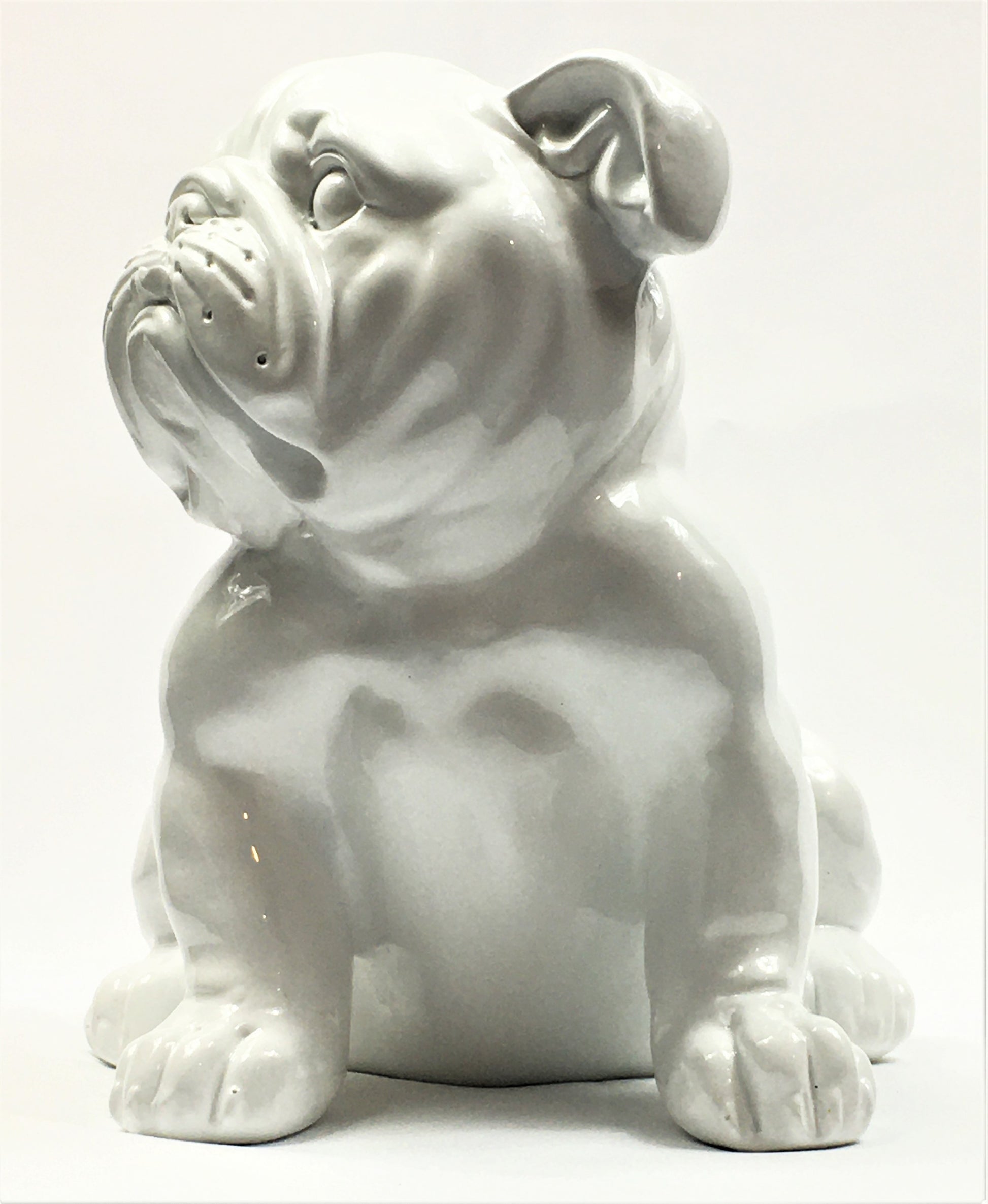 Franse Bull Dog Pup - Earkings